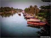 _DSF9642 (Copy)